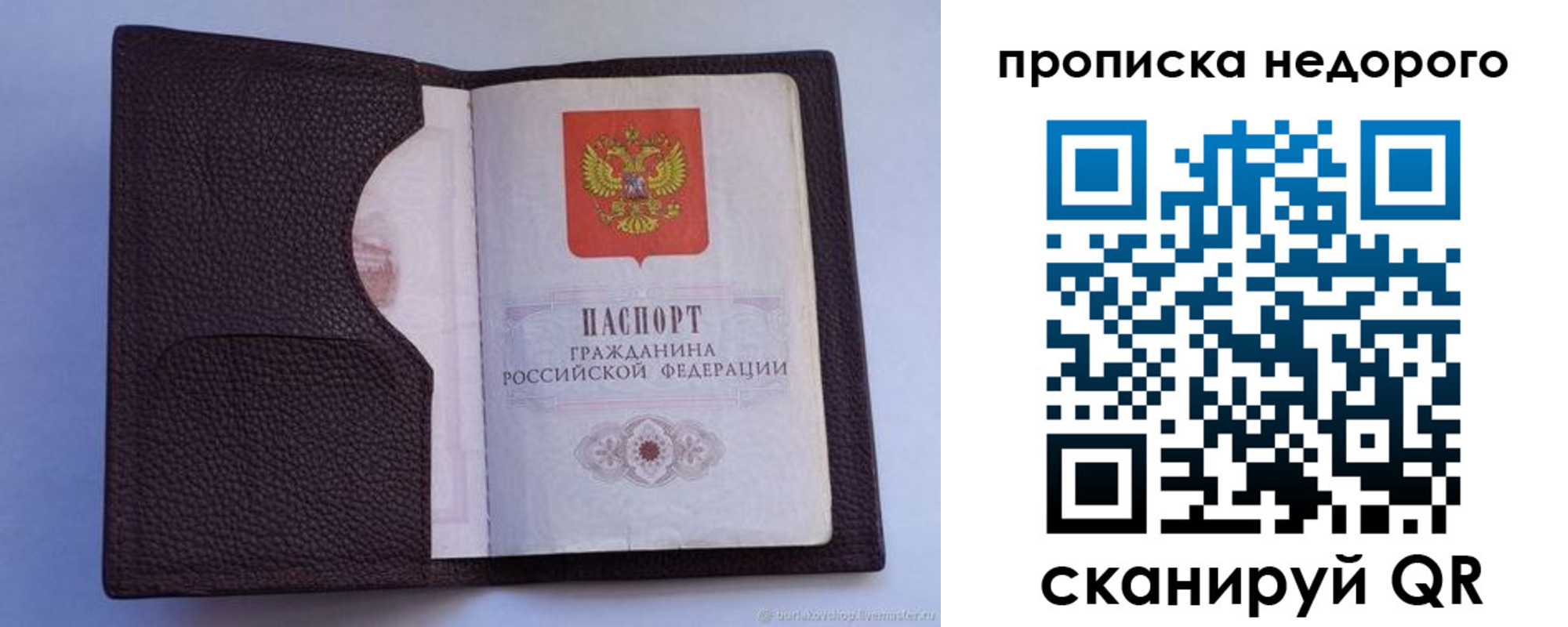 прописка законно в Смоленской области
